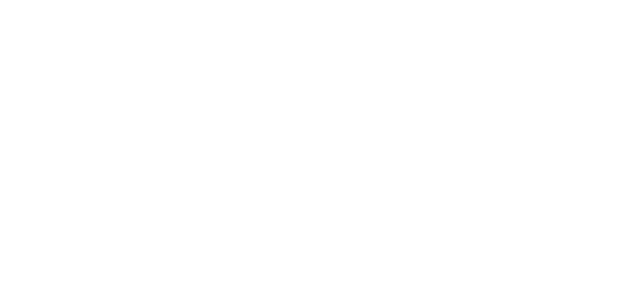 Foam Pro Insulation