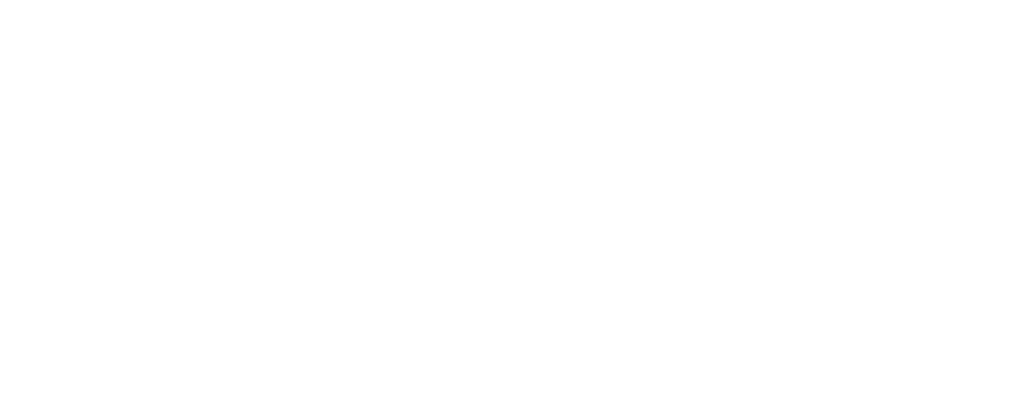 The Improvement Guys